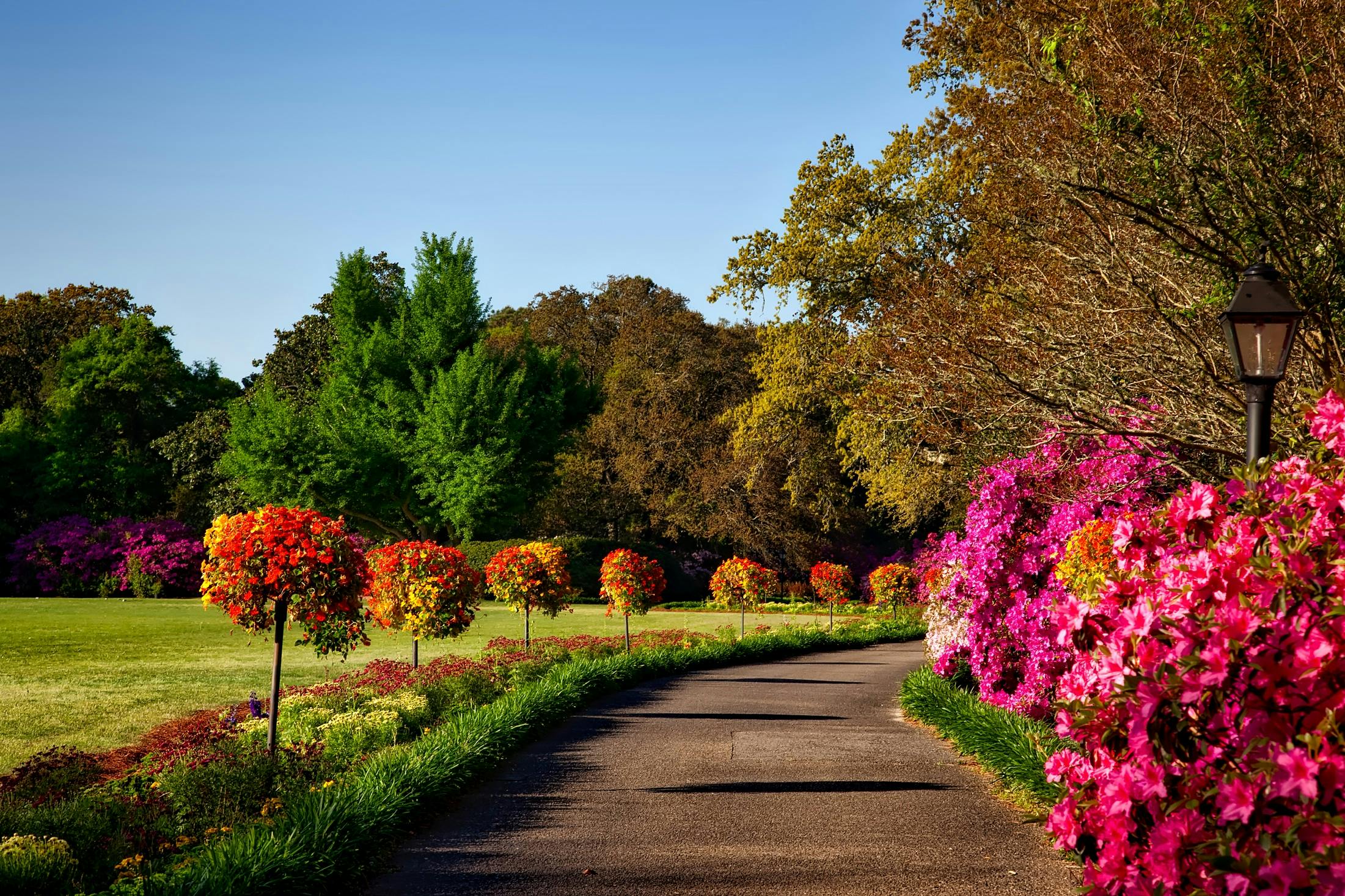 This is nature pictures